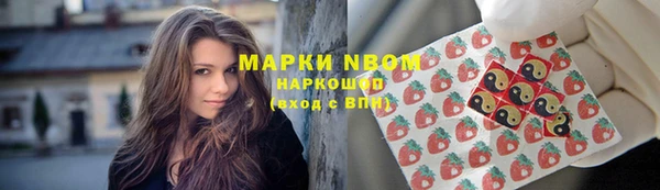 ПСИЛОЦИБИНОВЫЕ ГРИБЫ Ладушкин