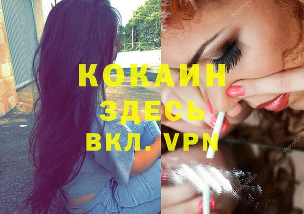 дживик Липки