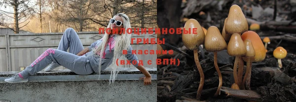 ешки Лагань