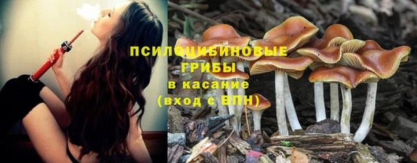 ешки Лагань