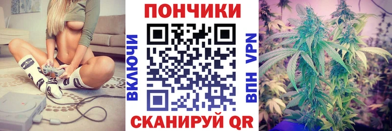 цена наркотик  Хадыженск  Конопля индика 